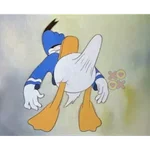 Penis