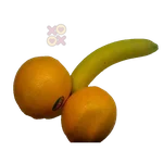Penis