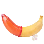 Penis