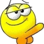penis