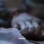 Im horny - yeehaw