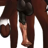 NSFWLongTaurs