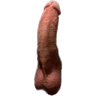Little fat penis - Pene