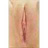 Tipos de vaginas
