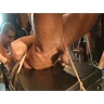 Gay Bdsm Bondage Gifs And Pics p.23