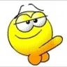 penis