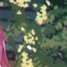 Yae Hot